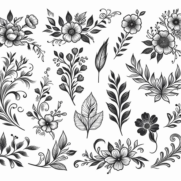 Vector flower line art floral elements illustration