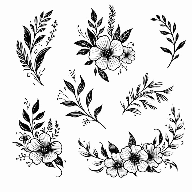 Vector flower line art floral elements illustration