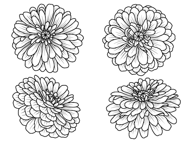 flower line art illustration