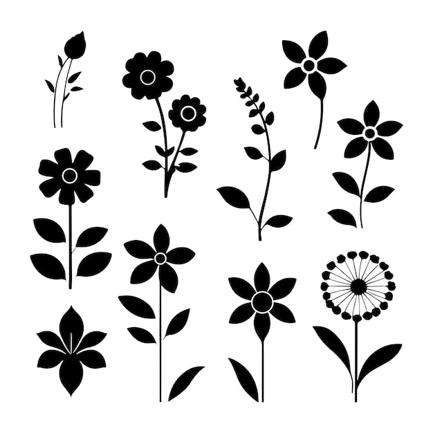 Vector flower line art and vector file