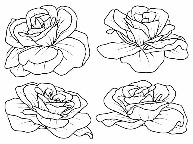 Flower line art