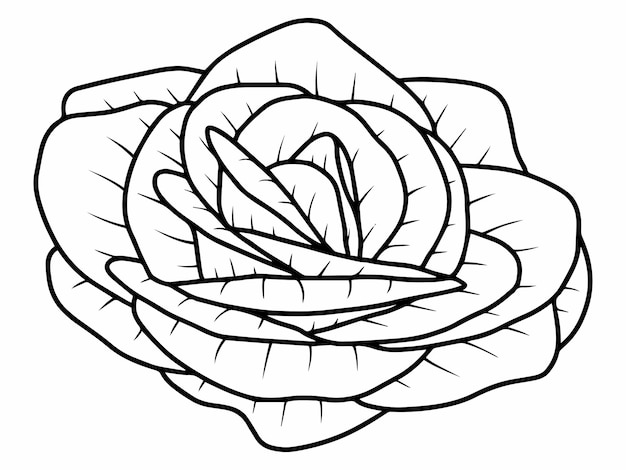 Flower Line Art