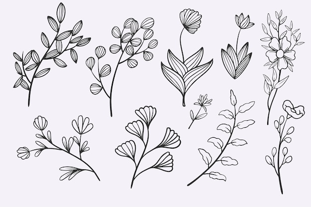 Vector flower line35