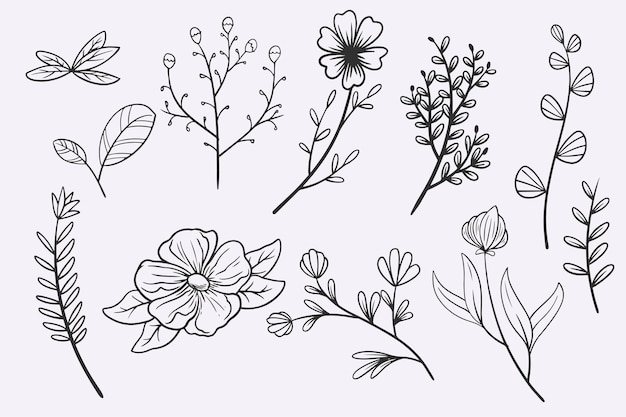 Vector flower line36