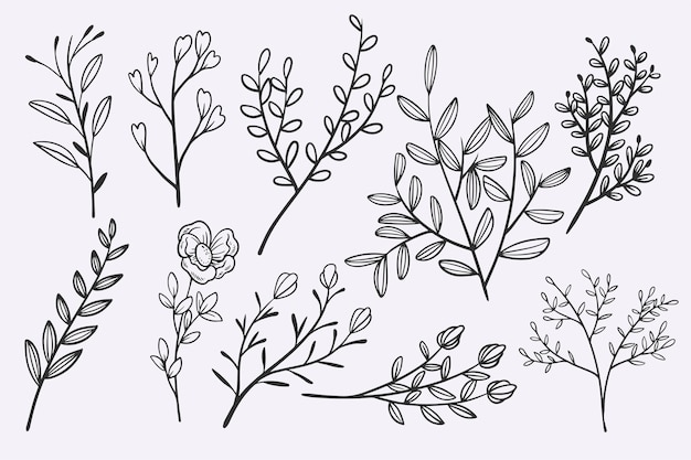 Vector flower line40