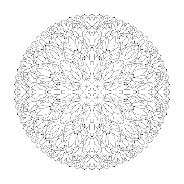 Vector flower mandala feather circle decorative illustration vector