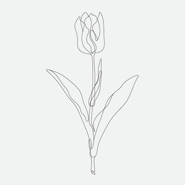  Flower monoline Contemporary art drawing