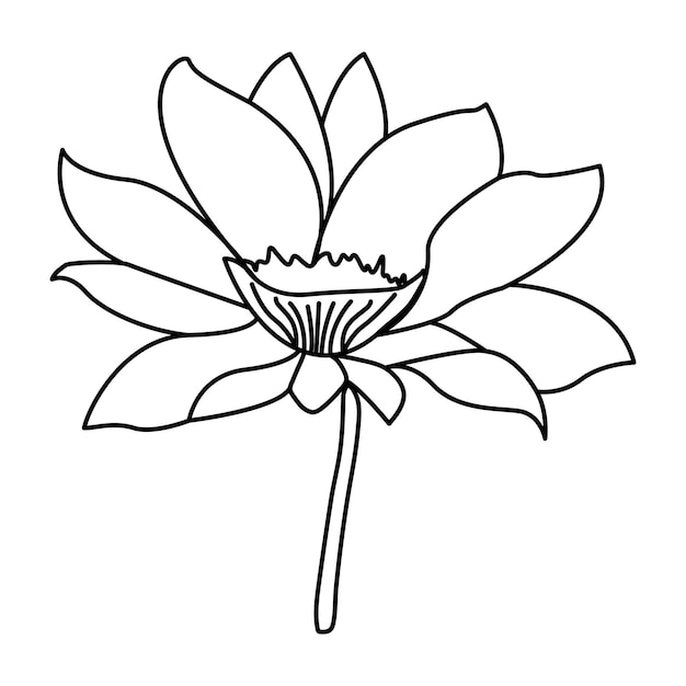 最小限の花のベクトルを使用した花の 1 つのライン アート描画