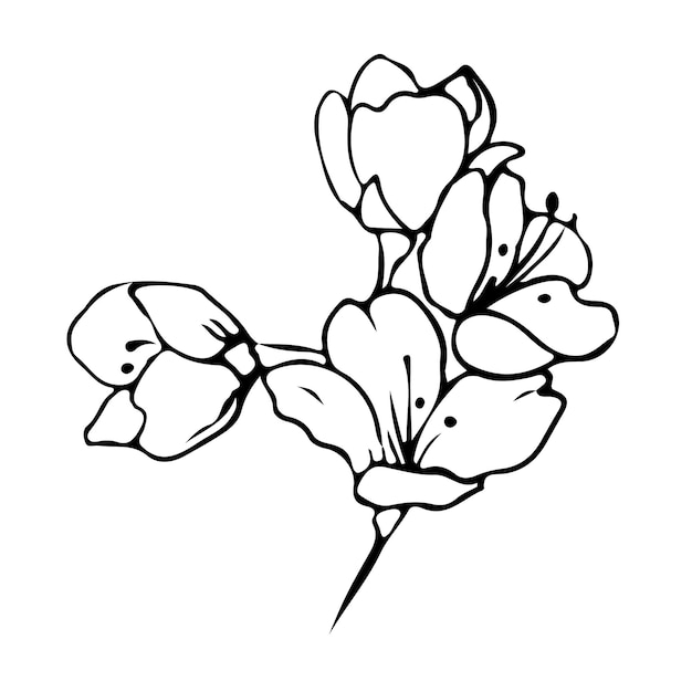 Vector flower one line drawing. floral minimalistic style. nature symbol. botanical print. continuous line