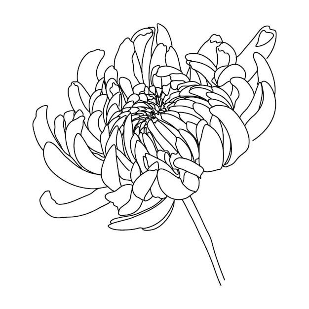 Flower One Line Drawing. Floral Minimalistic Style. Nature Symbol. Botanical Print. Continuous Line