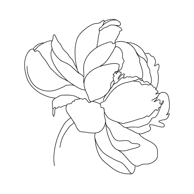 Flower One Line Drawing. Floral Minimalistic Style. Nature Symbol. Botanical Print. Continuous Line