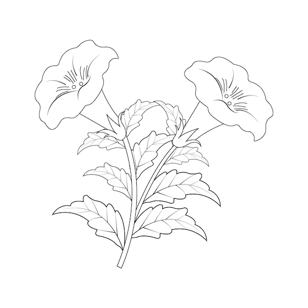 벡터 흰색 배경 벡터 일러스트 그래픽 디자인에 고립 된 꽃 난초