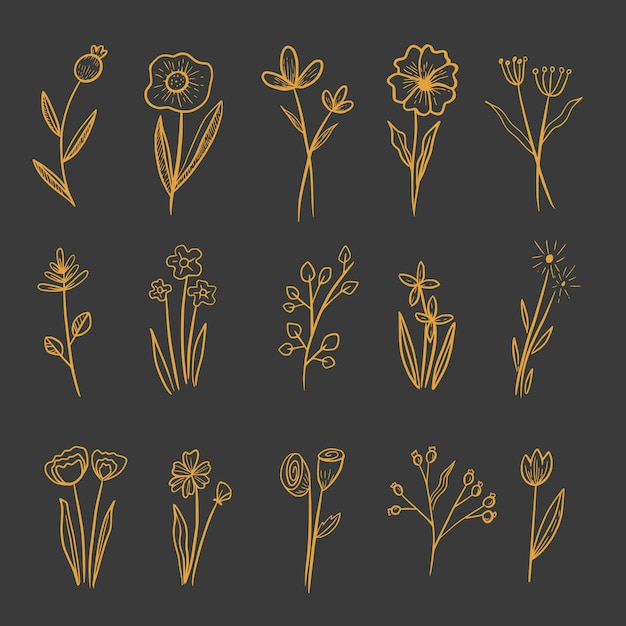Flower ornamental drawing golden set