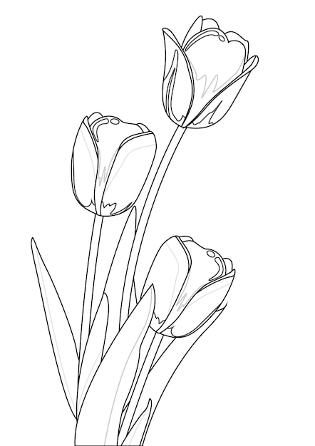 Flower outline coloring page