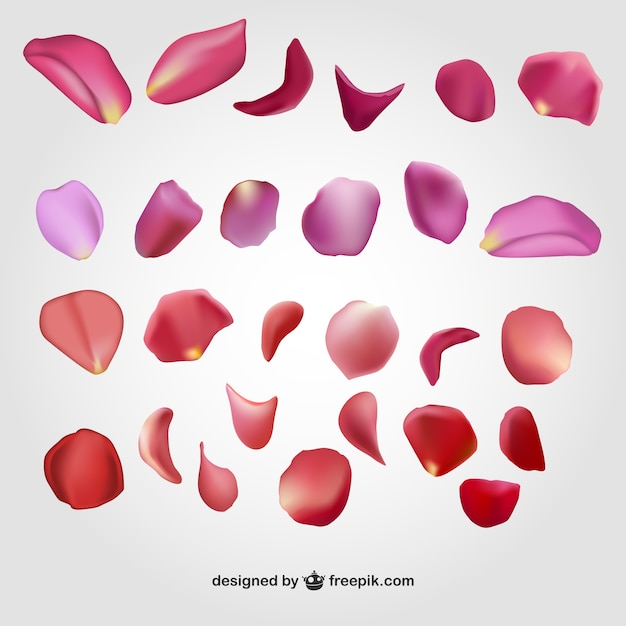 Vector flower petals pack