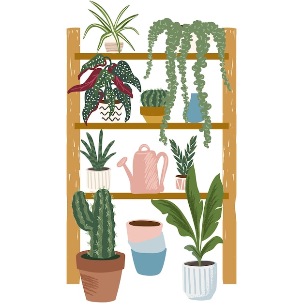 Flower plant in pot on shelf rack vector