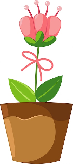 Flower in pot illustration