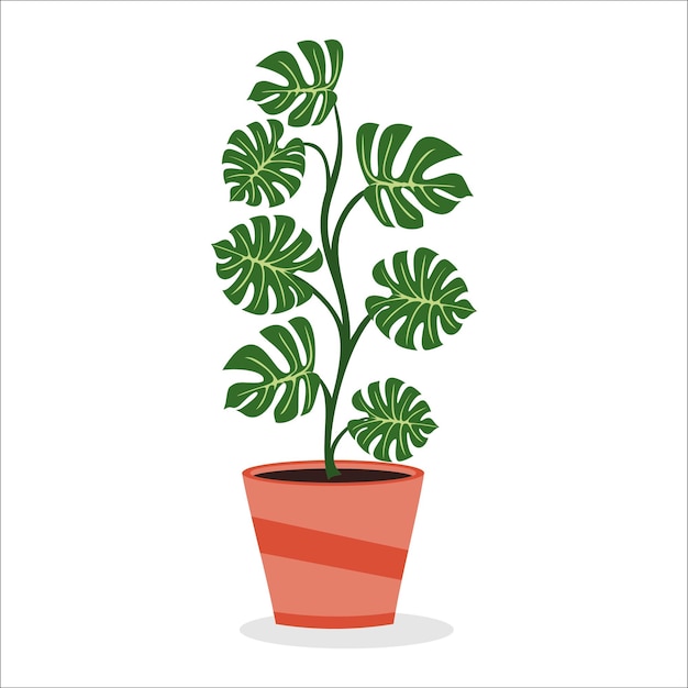 Vector flower in a pot vector illustration