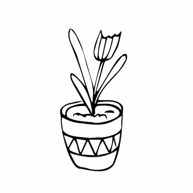 Flower pot with decorative grass, plant. Hand drawn simple black outline vector illustration in cart