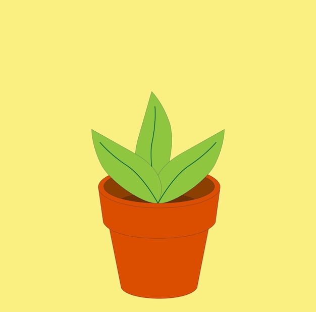 Flower Pot on yellow background vector illustration
