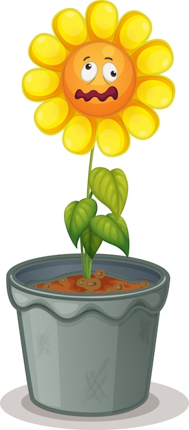 Vector flower in the pot