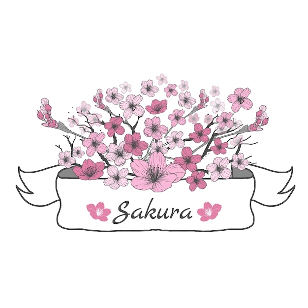 Nastro fiore di sakura. disegno e schizzo su priorità bassa bianca.