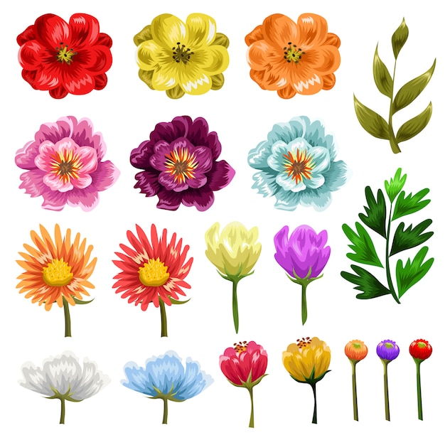 Vector flower set retro icon object set collection