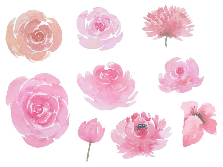 Vector flower set watercolor hand paint