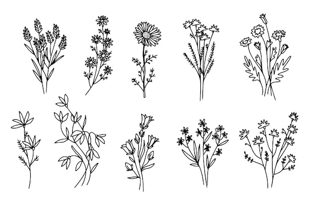 Цветок простой векторный значок Doodle контур растения Рисунок элемента силуэт