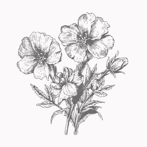 Vector flower sketch hand drawn sketch