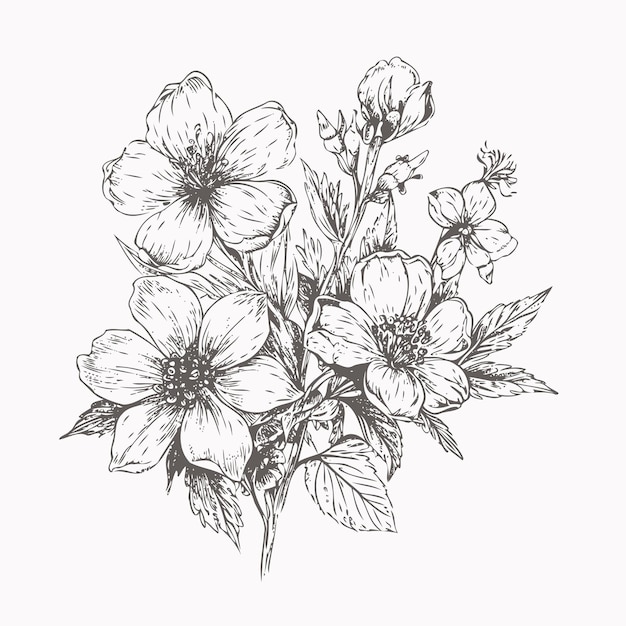 Vector flower sketch hand drawn sketch