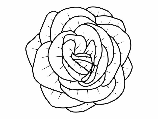 flower sketch line art