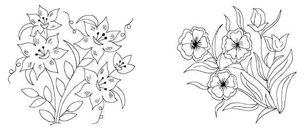 Flower sketch vector