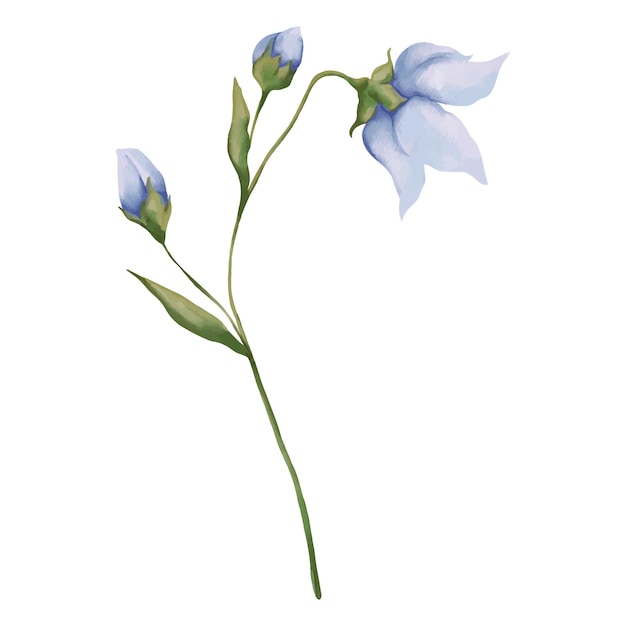 A flower on a stem with blue flowers.