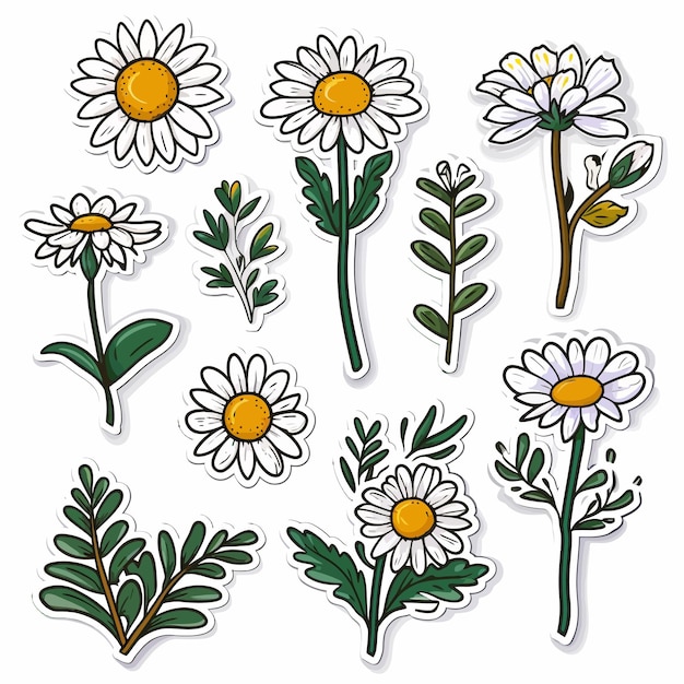 Vector flower sticker set