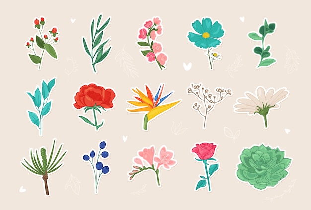 Flower stickers floral isolated doodle peony chamomile rose sakura magnolia leaves