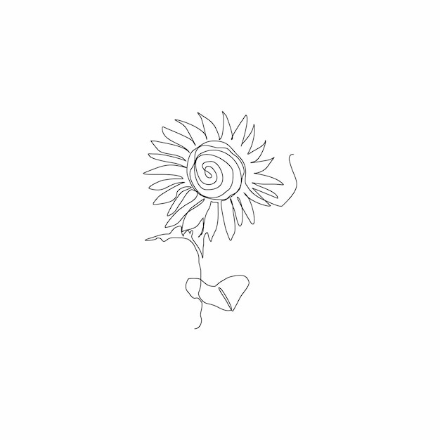 Vector flower vector continuous line art