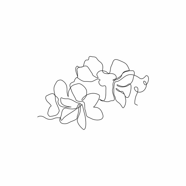 flower vector continuous line art