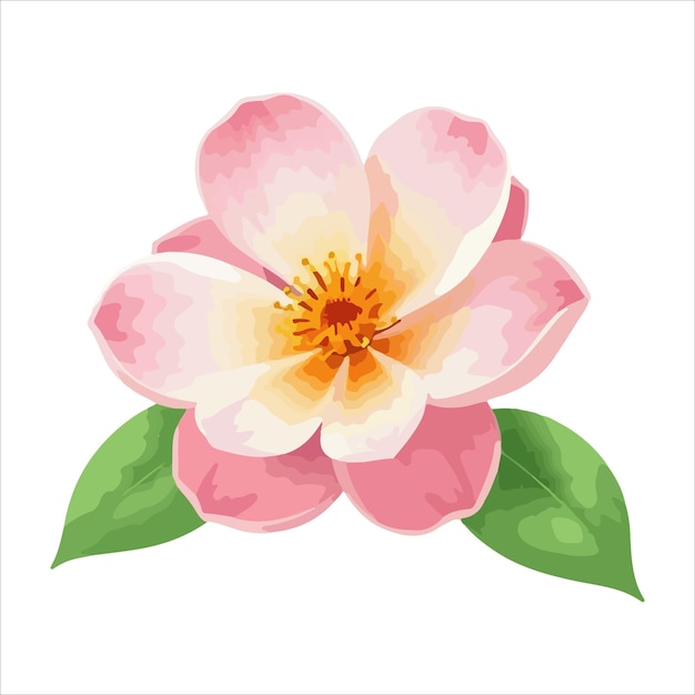 꽃 터 디자인 png