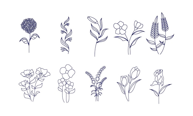 Vector flower vector hand drawn bouquets big bundle of floral frames linear style set of hand drawn contour illustration of flowers isolated on a white background