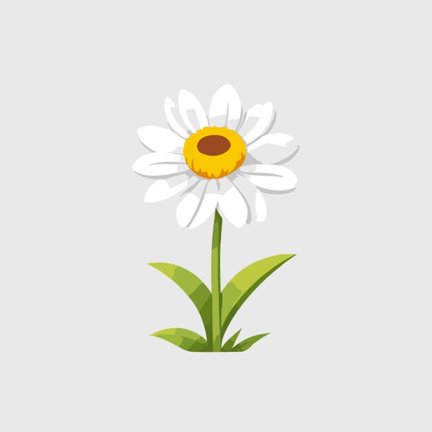 Flower vector on white background