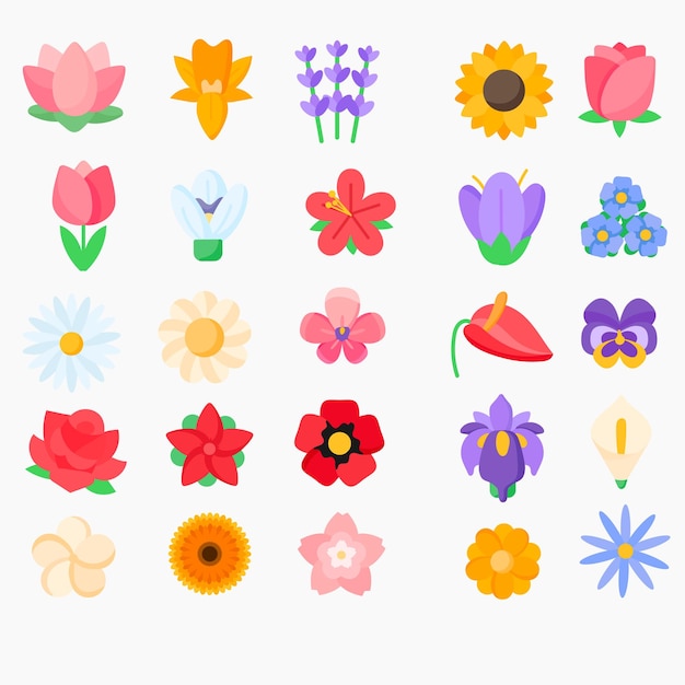 Vector flower vectors set