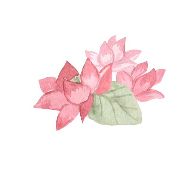 Vector flower watercolor illustration for kids