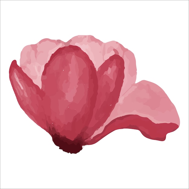 Flower watercolor illustration