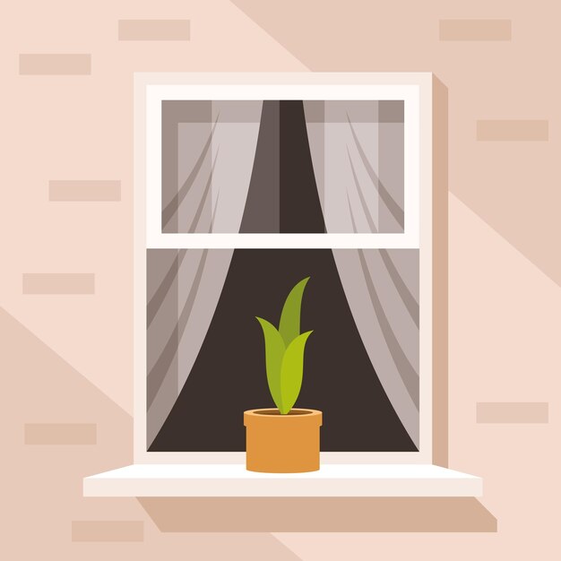 Flower on the window sill isolated background