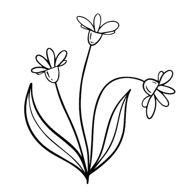 Flower with leaves doodle linear