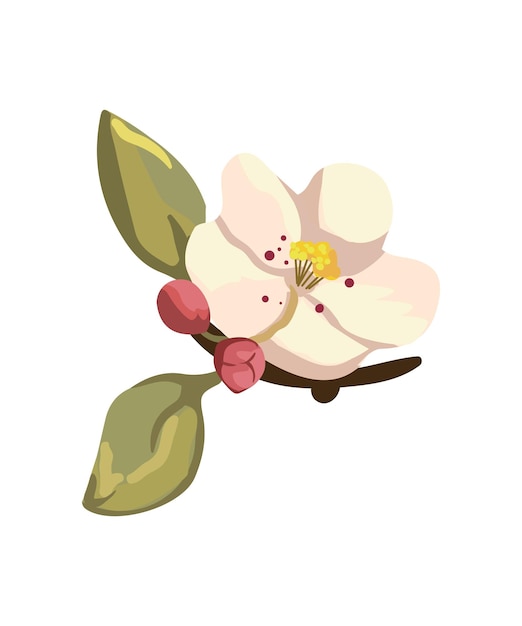 Vector flower