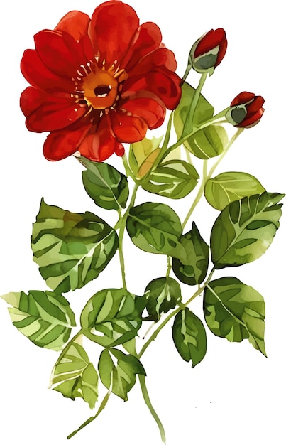 Vector flower