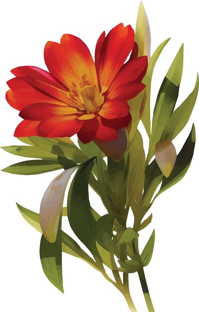 Vector flower