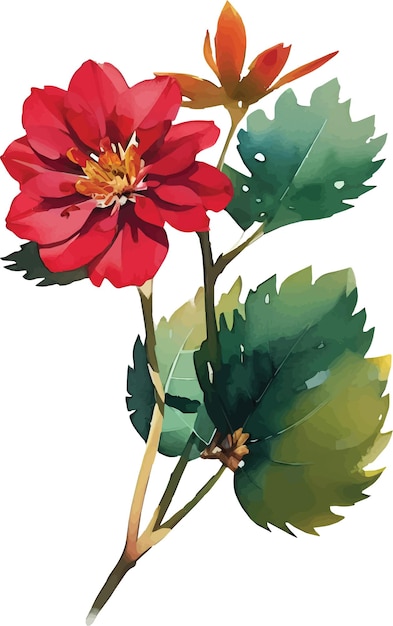 Vector flower